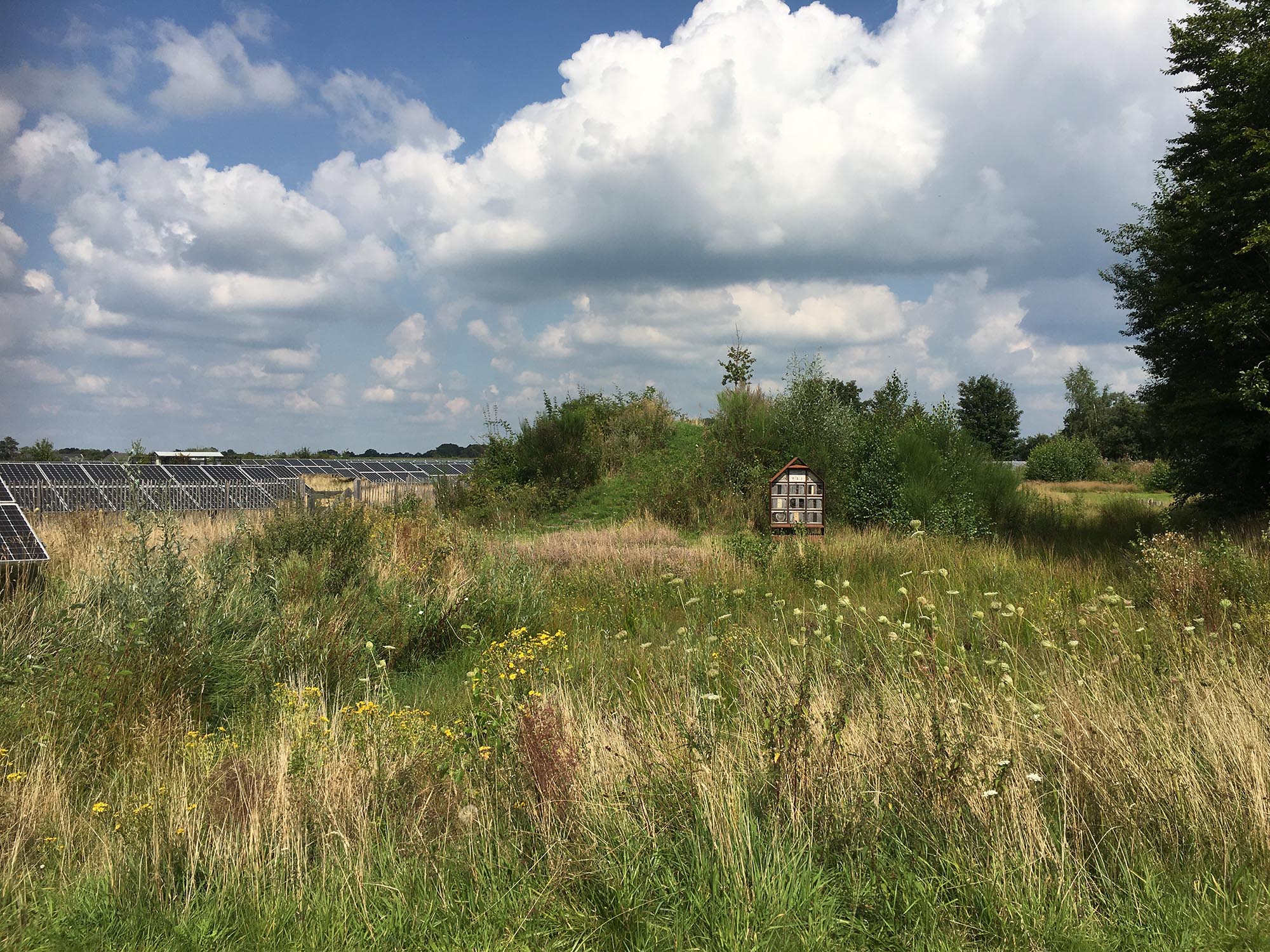 Inpassing zonneveld