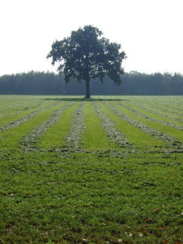 Referentiefoto van het landschap Esgronden