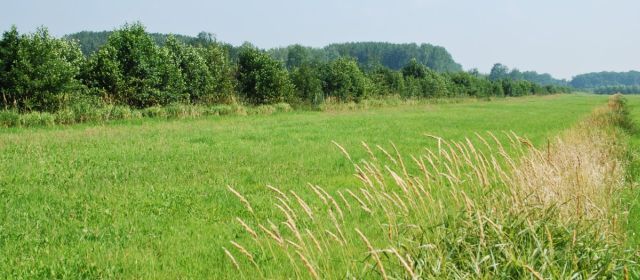  Referentiefoto Jonge ontginningsgebieden